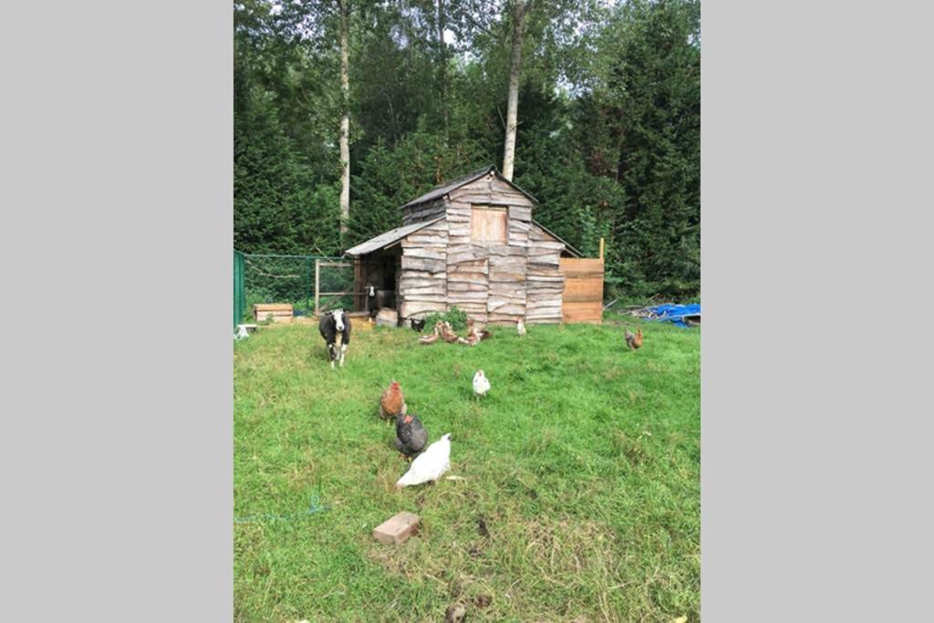 Cozy Studio On A Quaint Farm Lejlighed Kruibeke Eksteriør billede
